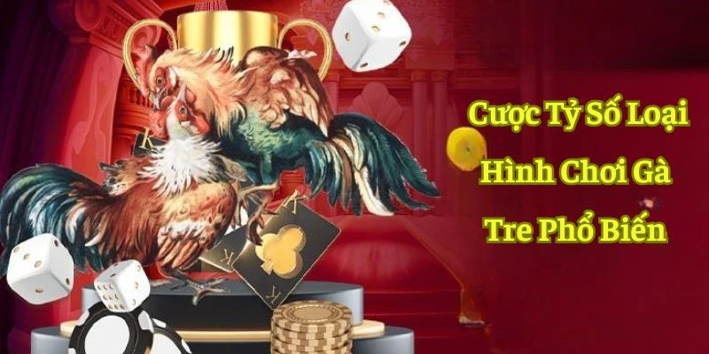 Top 3 cửa cược thông dụng khi chơi đá gà tre