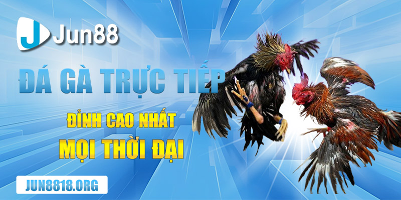 nhung tran da ga truc tiep dinh cao nhat moi thoi dai