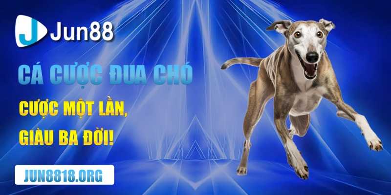 ca cuoc dua cho – cuoc mot lan giau ba doi