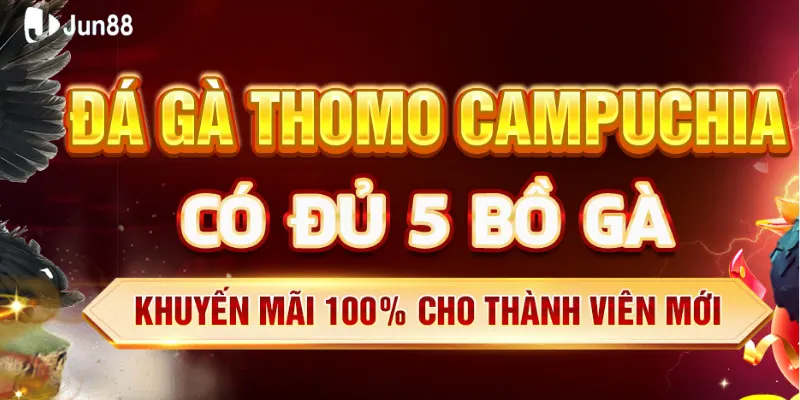 Đá gà Thomo hôm nay Jun88, trận đấu gay cấn với tỷ lệ thắng cao 2 Đá gà Thomo là gì