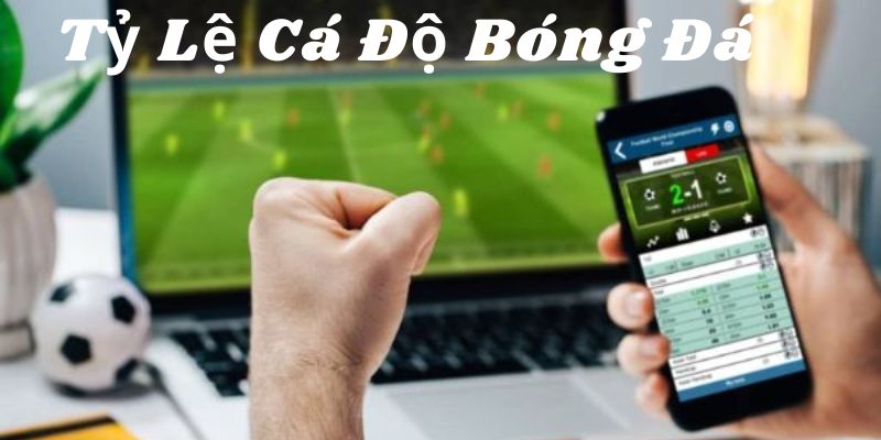 Tỷ Lệ Cá Độ Bóng Đá Shbet - Cách Xem Kèo Chuẩn Và Đặt Cược Chuẩn Xác 3 Một số yếu tố ảnh hưởng đến tỷ lệ kèo cược